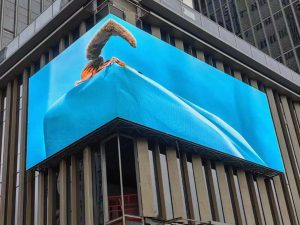 WhatsApp Image 2024-11-16 at 10.38.10 PM