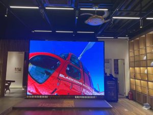 WhatsApp Image 2024-11-16 at 10.38.19 PM (1)