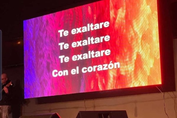 WhatsApp Image 2024-11-16 at 10.17.19 PM (1)